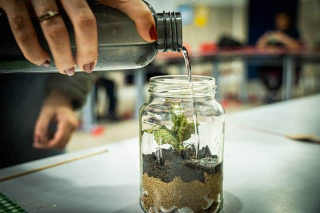 Educação Ambiental